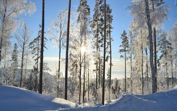 Фото Дома для отпуска Riihivuori Cottages г. Муураме 5